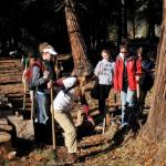 teaching about the bull thistle to be removed from trail